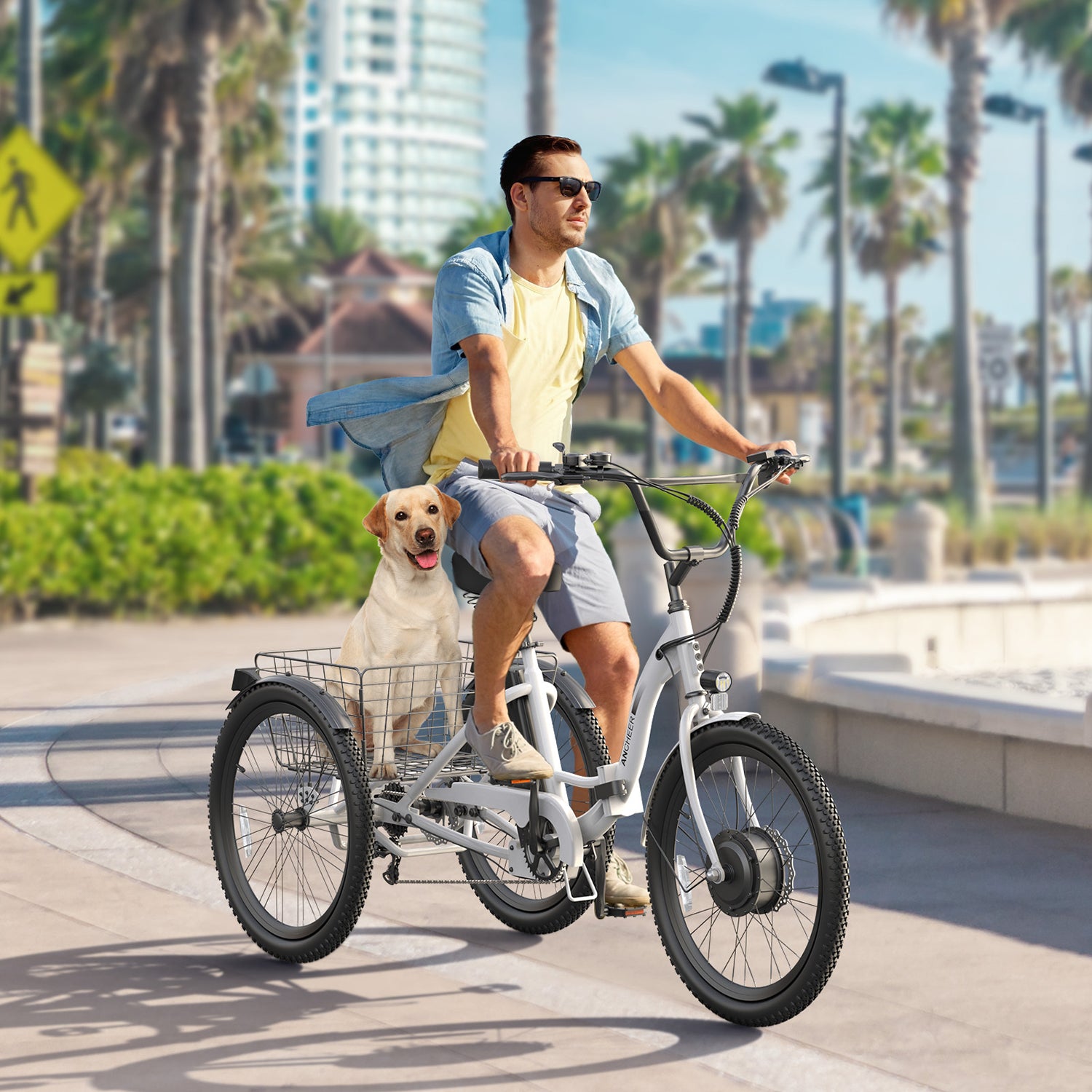 UBELIEF BN UBEB07 Electric Tricycle - 24" Adult E-Trike, 55 Miles Range