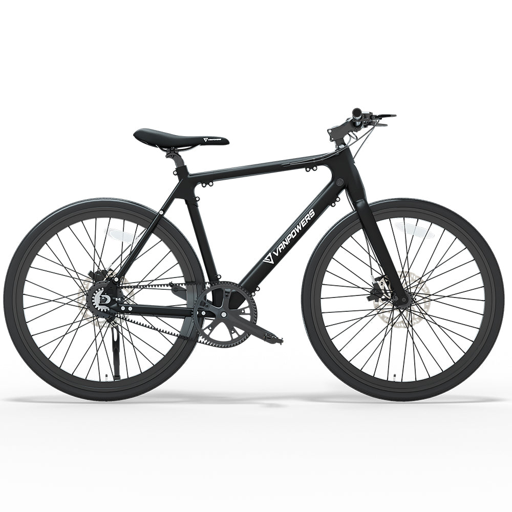 lightweight electric bike