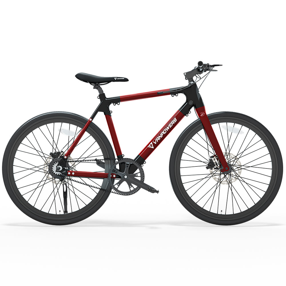lightweight electric bike