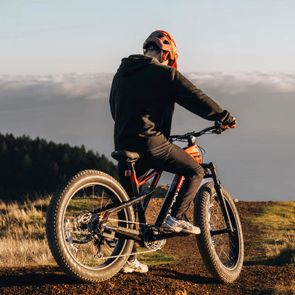 UBEB08_Mountain_Electric_Bicycle_11