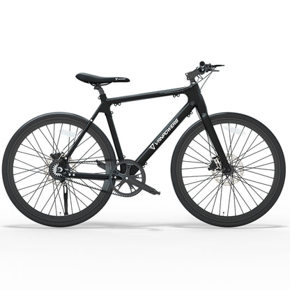lightweight electric bike
