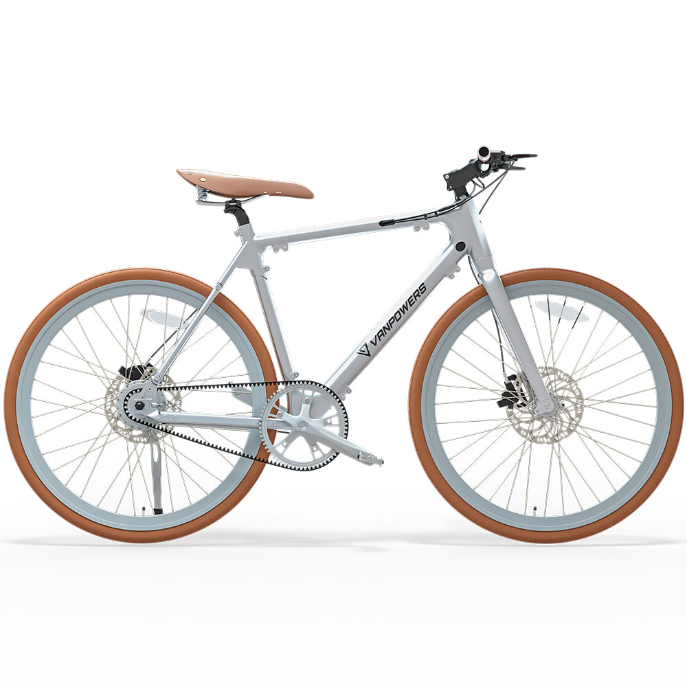 lightweight electric bike
